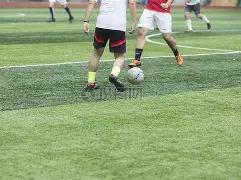 彩盈欢娱,狗子28H5官方网站,狗子28(中国)官方网站,狗子28(中国)官方网站,狗子28H5官方网站,狗子28大舞台,狗子28官网平台