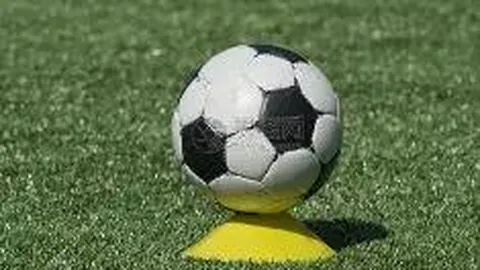 狗子28H5官方网站 产品 101308 my3