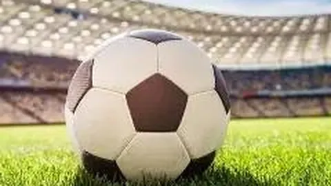 狗子28H5官方网站 资讯 114556 uyx