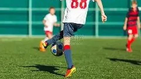 狗子28H5官方网站 资讯 114853 f31